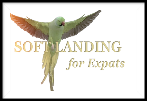Soft Landing For Expats